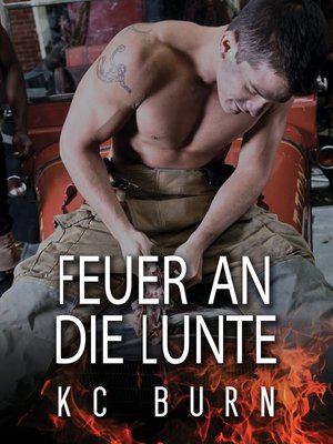 cover image of Feuer an die Lunte